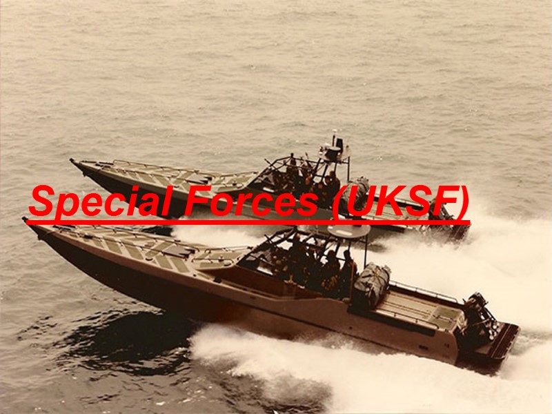 Special Forces (UKSF)